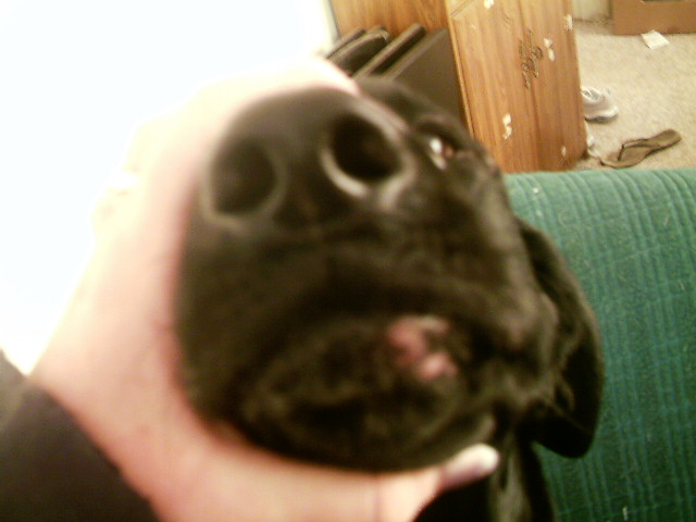 My Lip