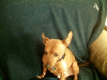 Buster making sure.....