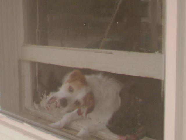 LET ME OUT!!!