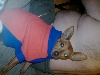 Buster warm