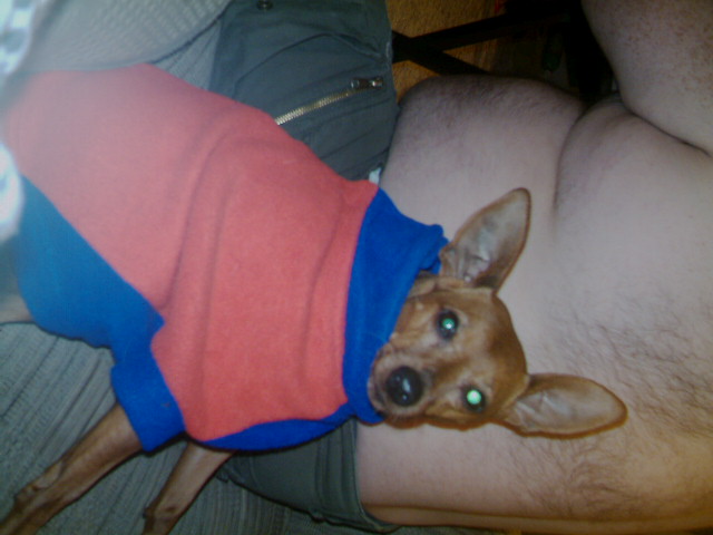Buster warm