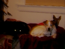 my boys