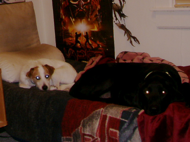 Mushu and Bently