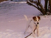 Snow and Mushu