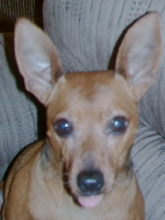 buster