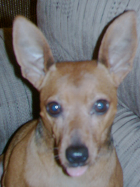 buster