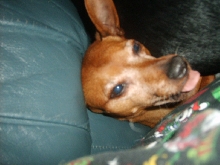 SQUISHED