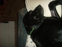zzzzz