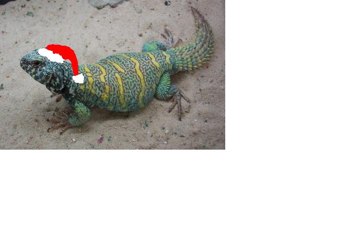 Blue Santa
