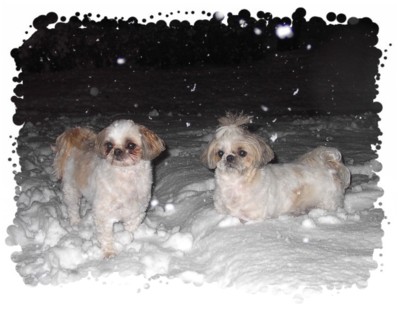 snow