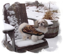 Bhreagh on lawn chair