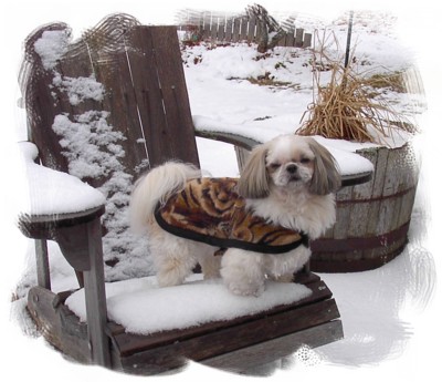 Bhreagh on lawn chair
