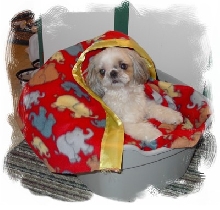 Bhreagh In Fido Rido