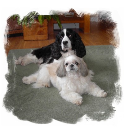 Bhreagh and Jessie