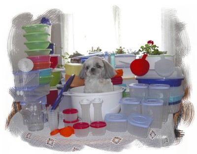 Bhreagh tupperware