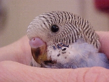 Ready For My Closeup
