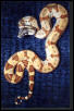 salmon hypo