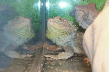 spike 1
