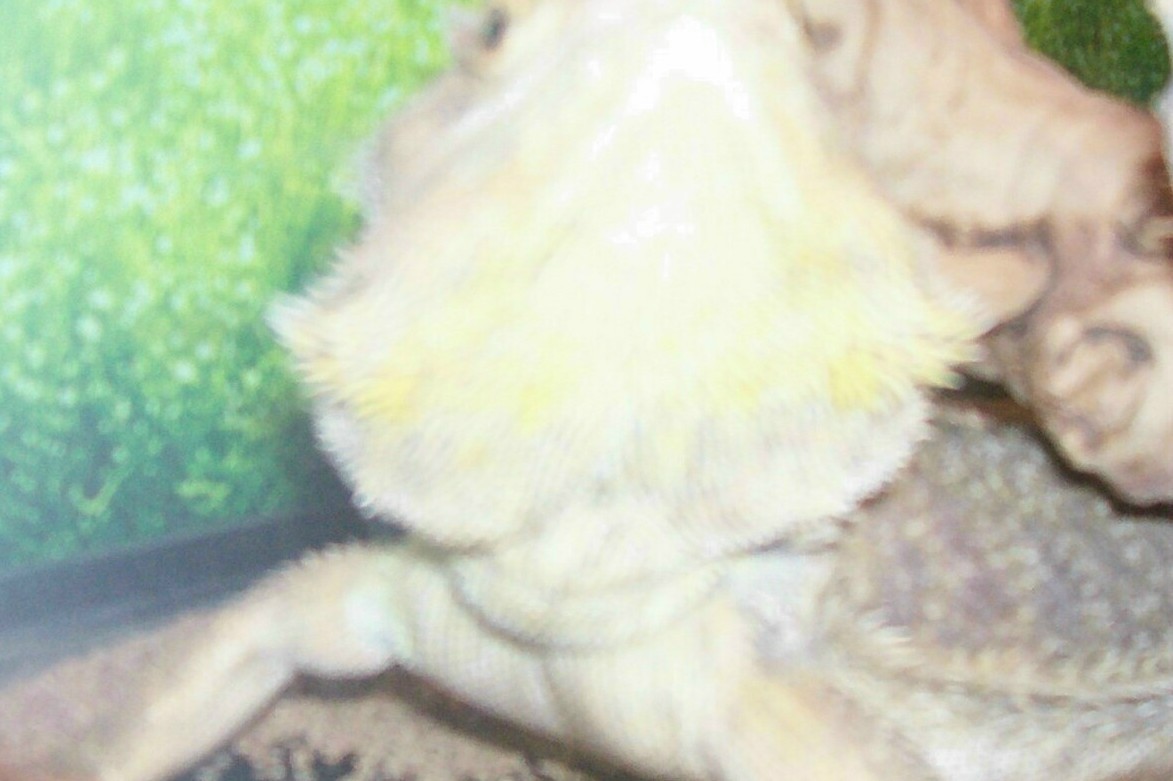 spike 3