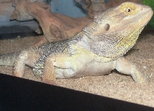 spike 2