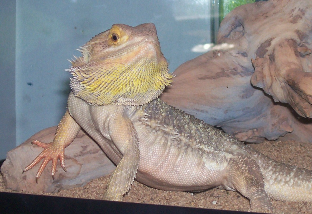 spike1