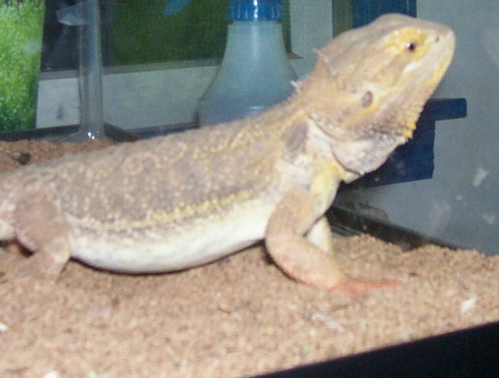 just chillen