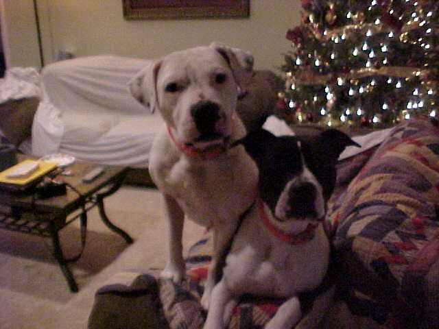 2nd christmas