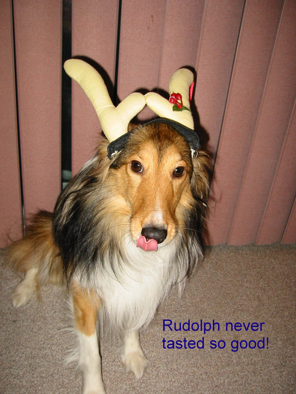 Rudolph Never Tasted so Good!!