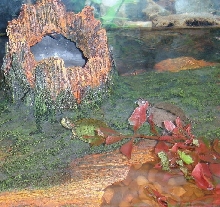 Hekyll and Jekyll