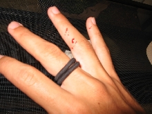 First bite