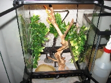 GTP Cage