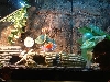 my tank