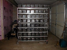mice breeder cage