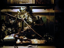 Murdoc's new tank