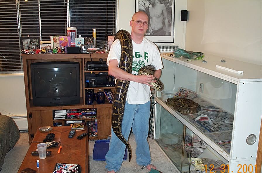 Male Burmese Python