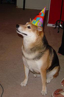 Kyoko's 4th Birthday Party