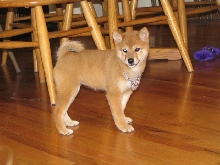 Maggie