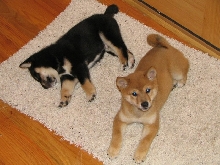 Jack and Maggie