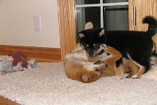 Jack and Maggie