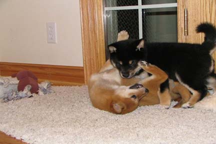 Jack and Maggie