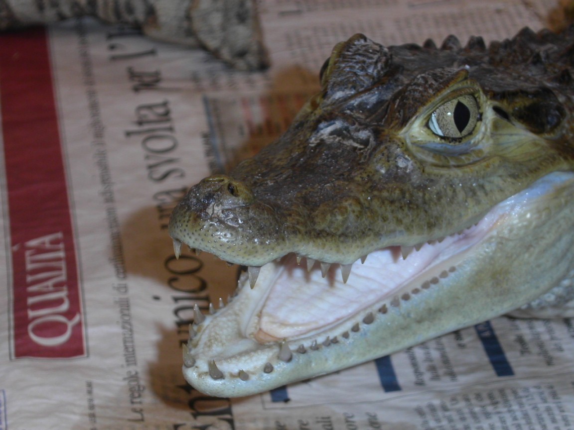 SMILE!!!!!