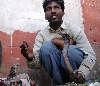 New Delhi snake charmer