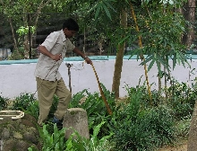 Ptyas Bangalore Keeper