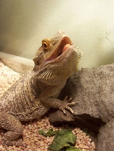 He doesnt mind posing