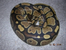 my ball