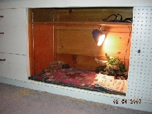 my water dragons new cage setup