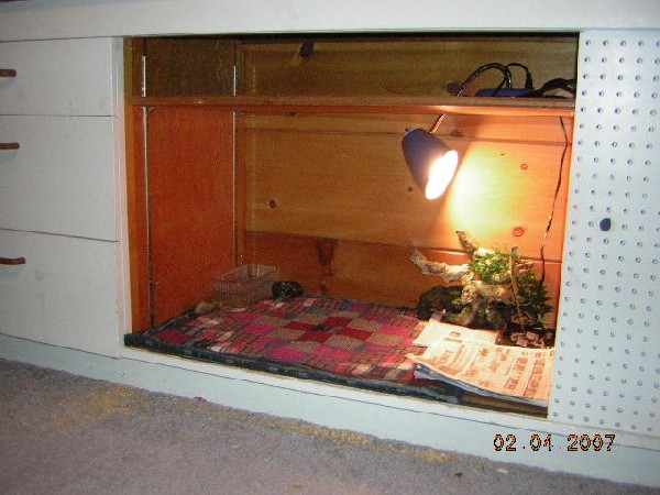 my water dragons new cage setup