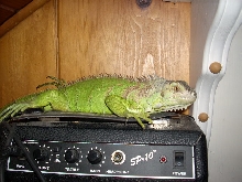 dargor & his favorite spot