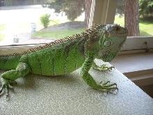 Dargor...i'll miss ya old buddy