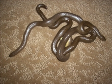my wc Rubber boas